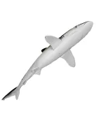 Selyem cápa játékfigura Safari