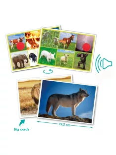   Akros - Az állatok és a természet hangjai fejlesztő játék hanganyaggal