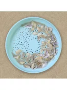 Quut – Strandolós frizbi és homok szitáló