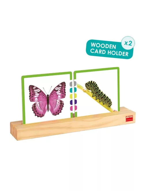 Kártyatartó - Fából készült - Akros