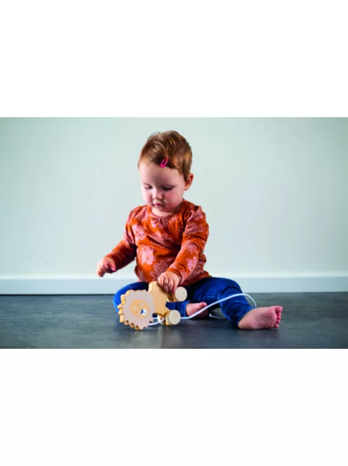 Tryco - Húzható oroszlán - Fajáték