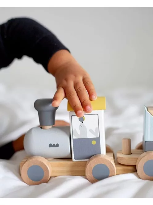 Tryco - fa vonat kockákból