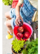 Quut- Bucki homokozó és strandolós vödör -cherry