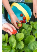 Quut- Bucki homokozó és strandolós vödör - lagúna kék + banánsárga