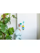 Quut- Beedi halak fürdőjáték