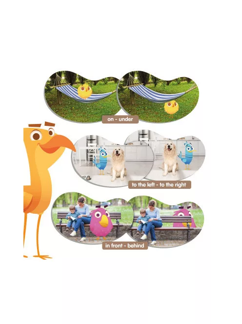 Akros - Topology-Birds térbeli tájékozódás