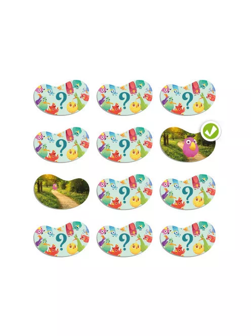 Akros - Topology-Birds térbeli tájékozódás