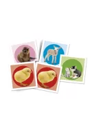 Állatkölykök - Memóriajáték - Clementoni