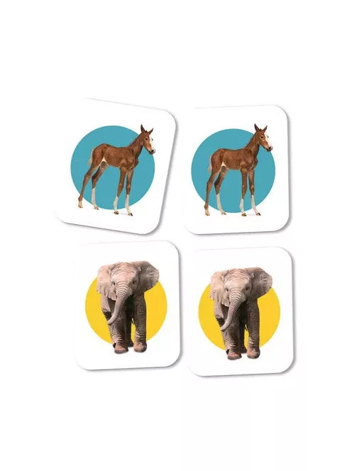 Állatkölykök - Memóriajáték - Clementoni