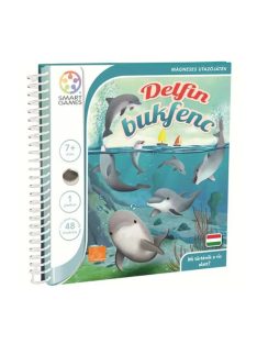 Delfin bukfenc Magnetic Travel Smart Games