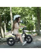 Cariboo Magnesium Pro futóbicikli - Black/Mint