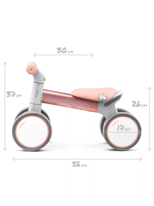 Cariboo Team kismotor - Pink