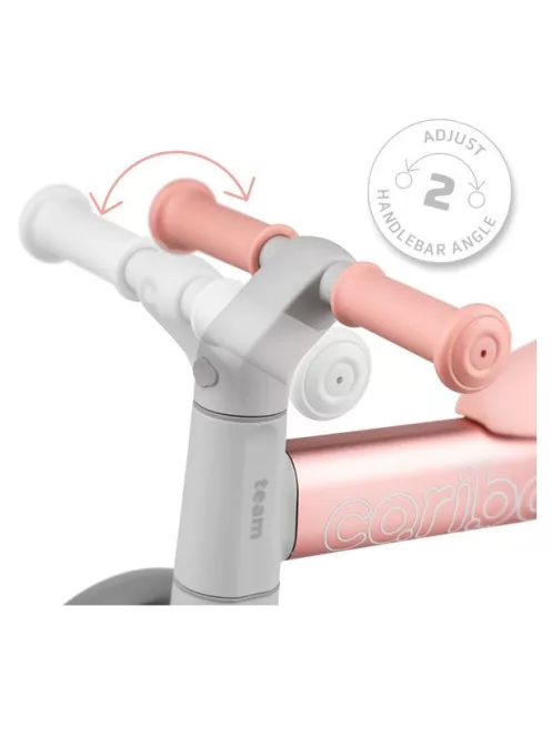 Cariboo Team kismotor - Pink