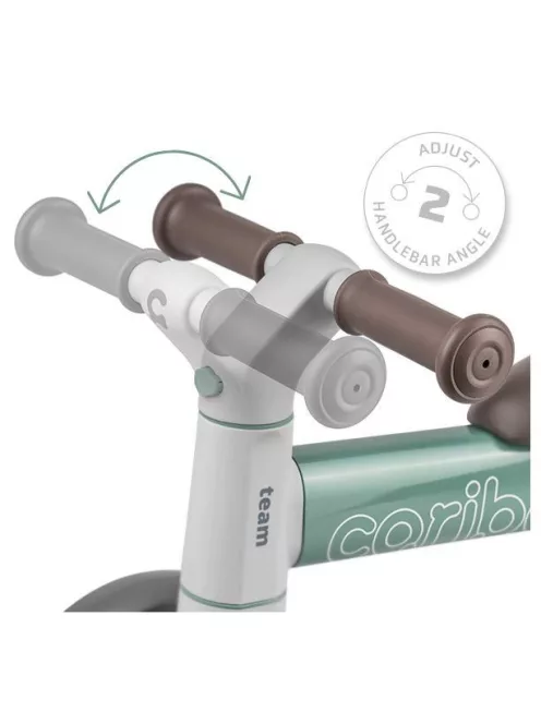 Cariboo Team kismotor - Green