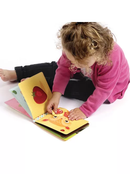 LUDI - Illatok könyve