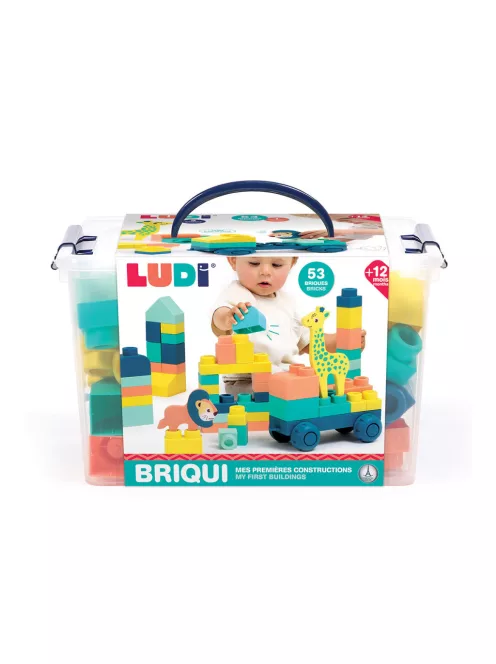 LUDI - Briqui készségfejlesztő építőjáték bébiknek