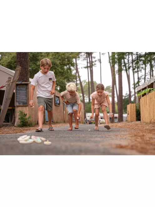 BS Toys Kaméleon - Színfelismerő játék