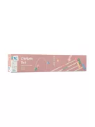 BS Toys Krikett szett