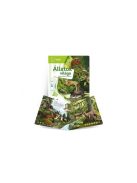 Tolki Interaktív foglalkoztató hangos könyv Állatok világa - kiegészítő