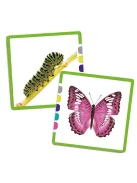 Képkártyák, keresd a párját Akros fejlesztő játék