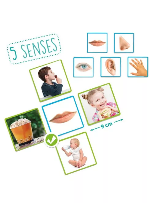 Érzékszerveink Akros fejlesztő játék