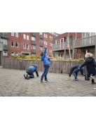 Bogarak - Fajáték - BS Toys