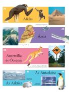 Képes atlasz gyermekeknek - Állatok a világban-Napraforgó