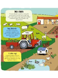 Kis felfedezők - A tanya-Napraforgó