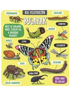 Kis felfedezők - Bogarak Napraforgó