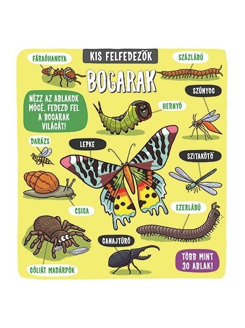 Kis felfedezők - Bogarak Napraforgó