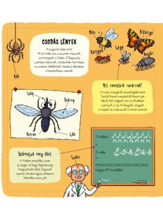 Kis felfedezők - Bogarak Napraforgó