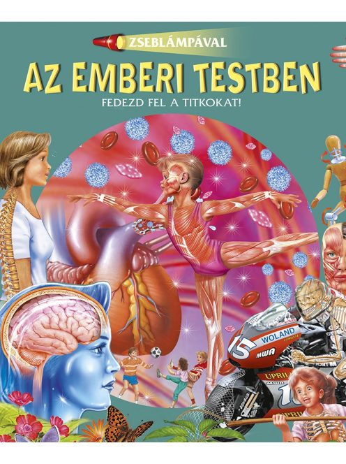 Zseblámpával - Az emberi testben Napraforgó