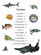 101 dolog, amit jó ha tudsz a vízi élőhelyek állatairól - Napraforgó