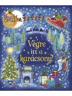 Karácsonyi varázslat-Diótörő Napraforgó