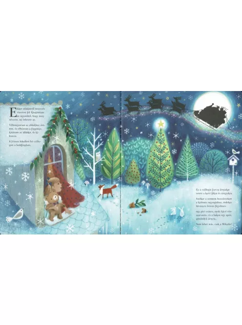 Karácsonyi varázslat-Diótörő Napraforgó