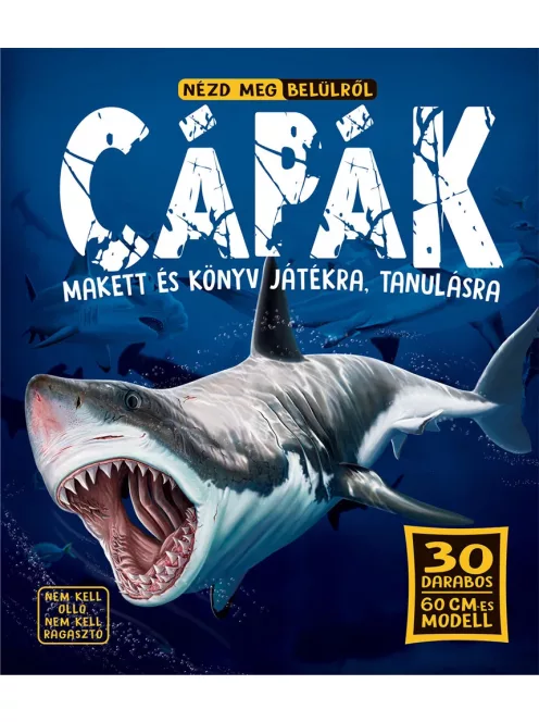 Nézd meg belülről, Cápák makett és könyv Napraforgó