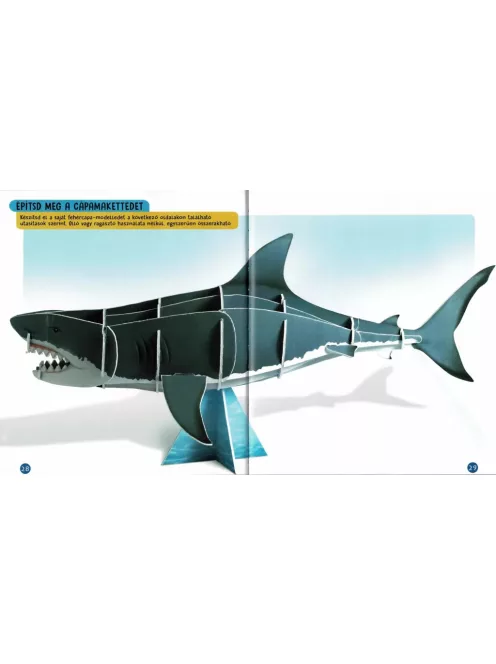 Nézd meg belülről, Cápák makett és könyv Napraforgó