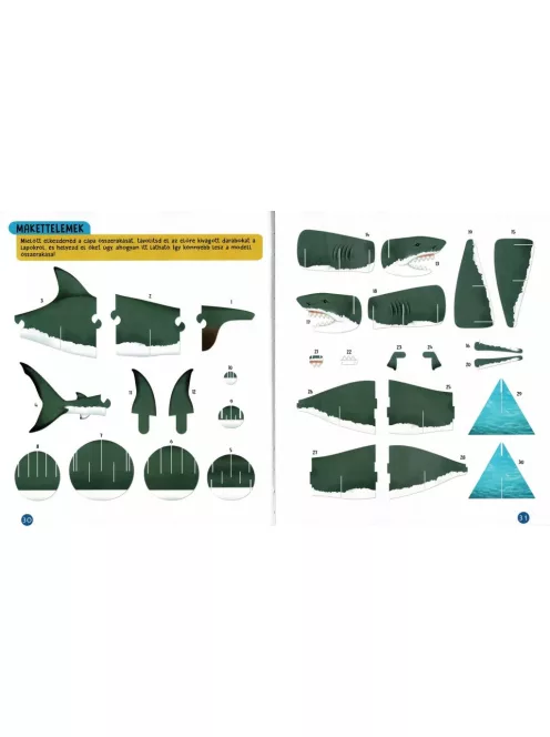 Nézd meg belülről, Cápák makett és könyv Napraforgó