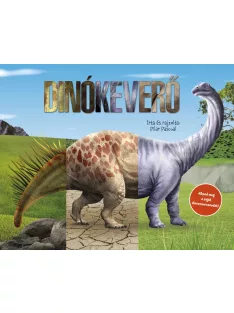 Dinókeverő Napraforgó