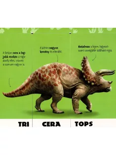 Dinókeverő Napraforgó