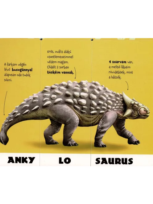 Dinókeverő Napraforgó