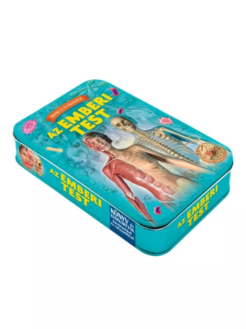 Olvasd el és válaszolj! Az emberi test Napraforgó