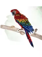 Karckép matricák, Madarak Avenir