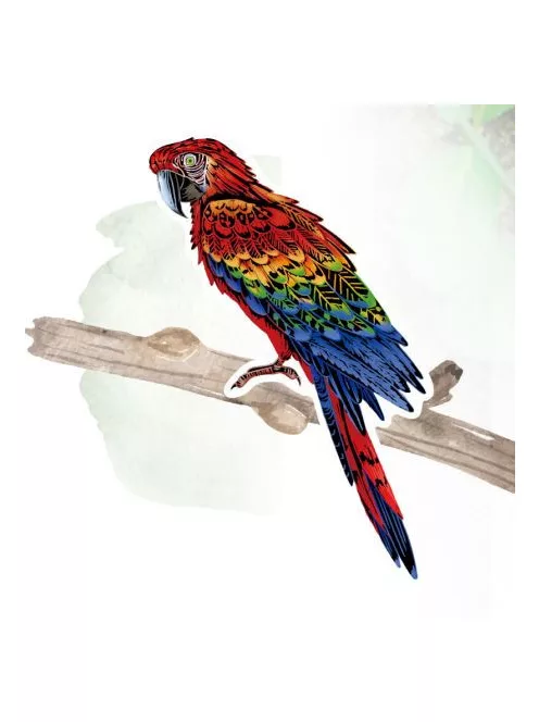 Karckép matricák, Madarak Avenir