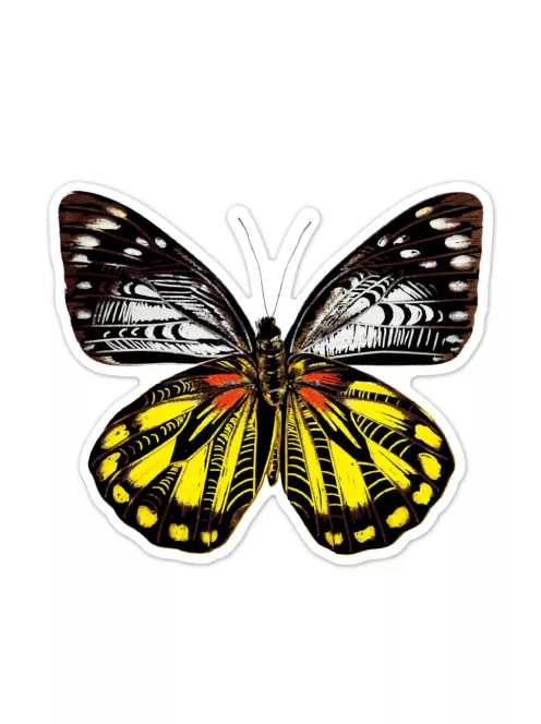 Karckép matricák, Pillangók Avenir