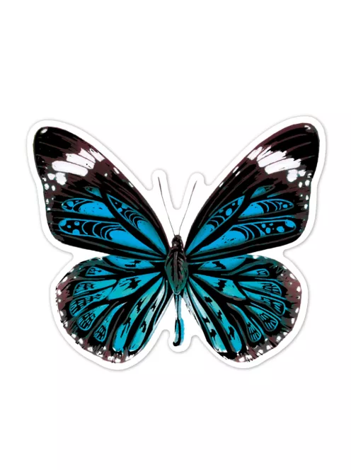 Karckép matricák, Pillangók Avenir