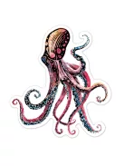 Karckép matricák, Tengeri élőlények Avenir