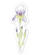 Vízzel festő kreatív könyvjelző készlet, Virágok Avenir