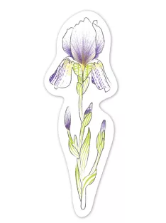   Vízzel festő kreatív könyvjelző készlet, Virágok Avenir