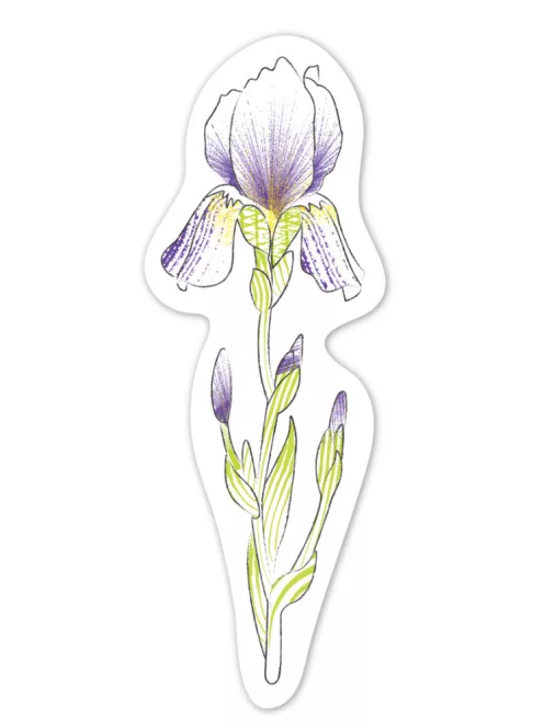 Vízzel festő kreatív könyvjelző készlet, Virágok Avenir